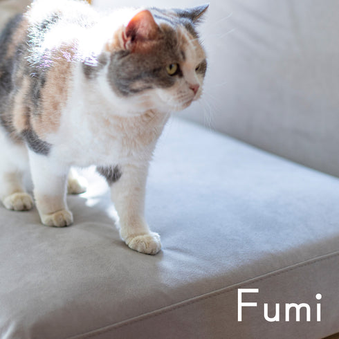 Fumi(フミ)さえぎらないソファ(標準生地・ペット対応生地)クッション2つ付 家族や景色との間をさえぎらないデザイン。カバーリングソファ 手洗い可〈開梱設置無料〉