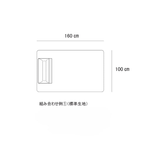 Fumi(フミ)無駄のないソファ 【ベース×1背クッション×2】(標準生地・ペット対応生地)ローソファにもなる 背クッション付 ほどよい座りごごち カバーリングソファ 手洗い可<開梱設置無料>