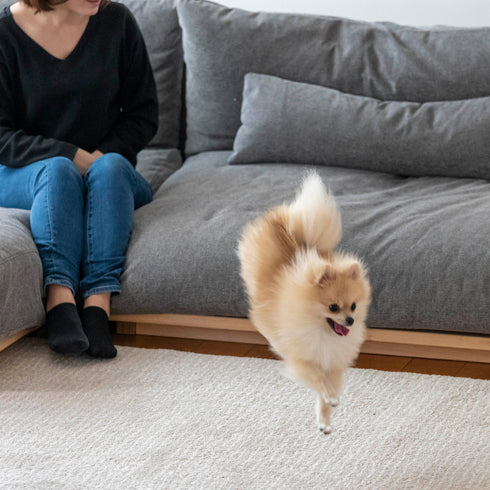 Fumi(フミ)幸せになるソファ 【ワイド+ロングセット】(標準生地・コーデュロイ生地・ペット対応生地)ローソファにもなる 背クッション付 ソフトな座りごごち カバーリングソファ 手洗い可<開梱設置無料>