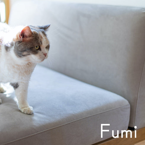Fumi（フミ）無駄のないソファ　【ベース×1背クッション×2】（標準生地・ペット対応生地）ローソファにもなる　背クッション付 ほどよい座りごごち カバーリングソファ 手洗い可＜開梱設置無料＞