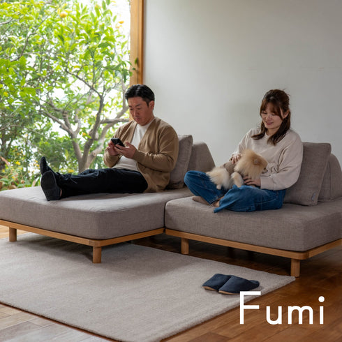 Fumi（フミ）【無駄のないソファ】（ベース×2 背クッション×3）（標準生地・ペット対応生地）ローソファにもなる　背クッション付 ほどよい座りごごち カバーリングソファ 手洗い可＜開梱設置無料＞