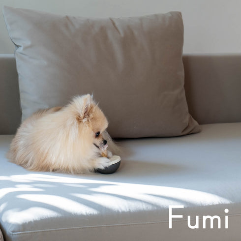 Fumi（フミ）整うソファ（ペット対応生地）ワイド＋棚S リビングに、家族の棚があるソファ カバーリングソファ 手洗い可〈開梱設置無料〉